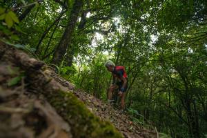 BIB: 
                            <button type="button" onclick="openModal(16007575)" class="btn btn-primary btn-sm float-right btn-popup" data-toggle="modal" data-target=".modal-high-quality">
                        <i class="fas fa-shopping-cart"></i> Add to Cart
                    </button>
                                            <button type="button" onclick="isThisMe(16007575, true)" class="btn btn-success btn-sm float-right btn-popup btn-isme hidden" data-toggle="tooltip" data-placement="bottom" title="นี่คือรูปของคุณใช่ไหม คลิกที่นี่เพื่อเอาเข้าอัลบั้ม">
                        <i class="fas fa-plus"></i> Add to album
                    </button>
                    <button type="button" onclick="isThisMe(16007575, false)" class="btn btn-warning btn-sm float-right btn-popup btn-isnotme hidden">
                        <i class="fas fa-ban"></i> Remove from album
                    </button>